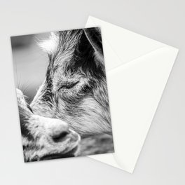 Moment of the Goats | Black and White Stationery Cards