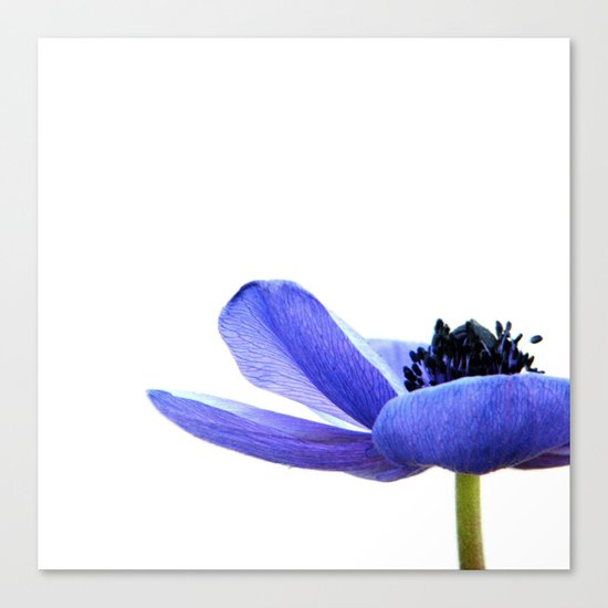 Blue Tutu Canvas Print