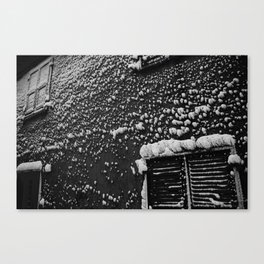 PRETTY PLEASE WITH SNOW ON TOP Canvas Print