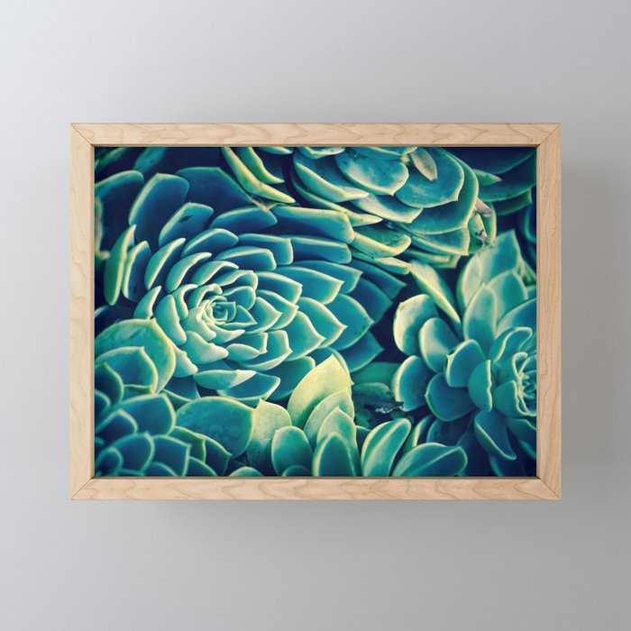 Succulent Framed Mini Art Print