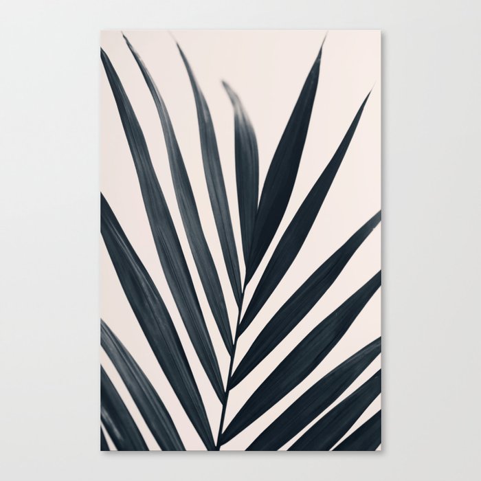 Gray Palm #3 Canvas Print