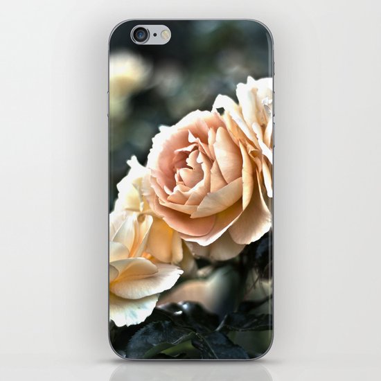 Flower Art - Sunset Floral Print - Coral Pink, Peach, Yellow - Shabby Chic Art - " Three Roses" iPhone & iPod Skin