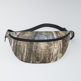 Scottish Pine Forest in the Spring Sunlight Fanny Pack