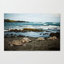 Hawaii Black Sand Beach with Sea Turtles Canvas Print