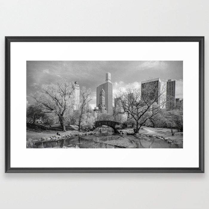 Central Park in Spring Framed Art Print