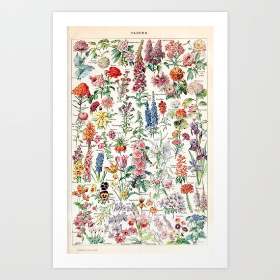 Adolphe Millot - Fleurs pour tous - French vintage poster Art Print