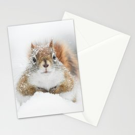 Red Squirrel in Snow Stationery Card