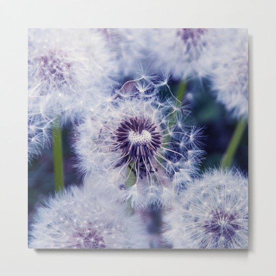 open Metal Print