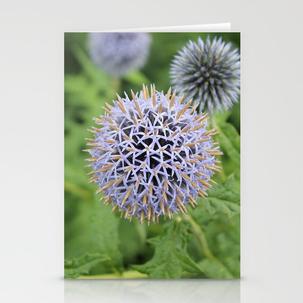 Spiky Ball of Lavender Stationery Cards