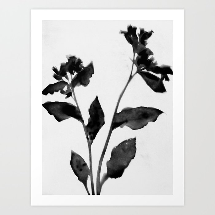 Black and White Moody Floral 2 Art Print