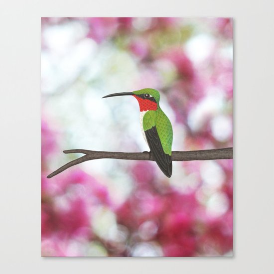 ruby throated hummingbird - male on pink bokeh Canvas Print