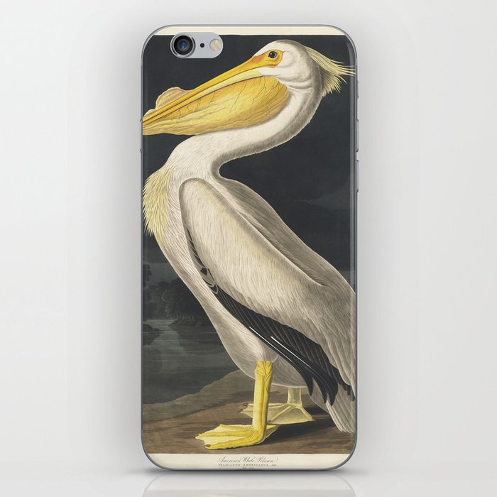 American White Pelican iPhone Skin