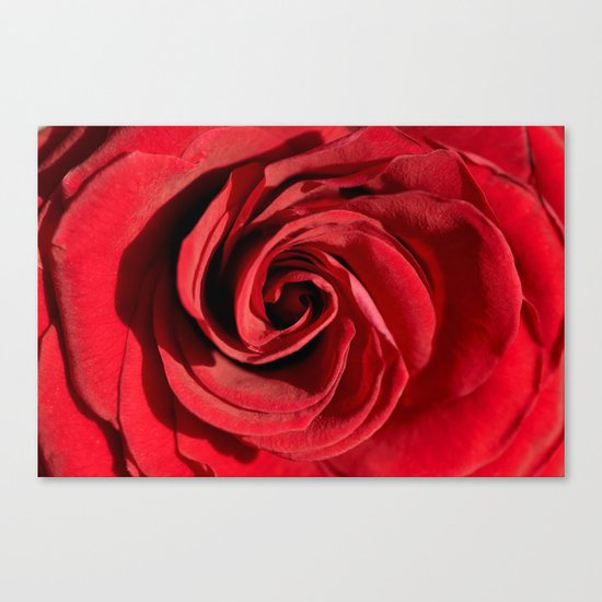 Red rose in LOVE- Roses Flowers Floral Canvas Print