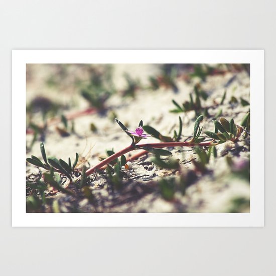 Along the Beach Art Print