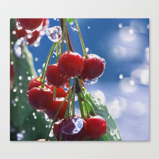 Summer rain on cherries Canvas Print
