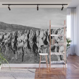 Free the Tata's of the world - bras on a clothsline - go topless black and white photograph - photography - photographs Wall Mural