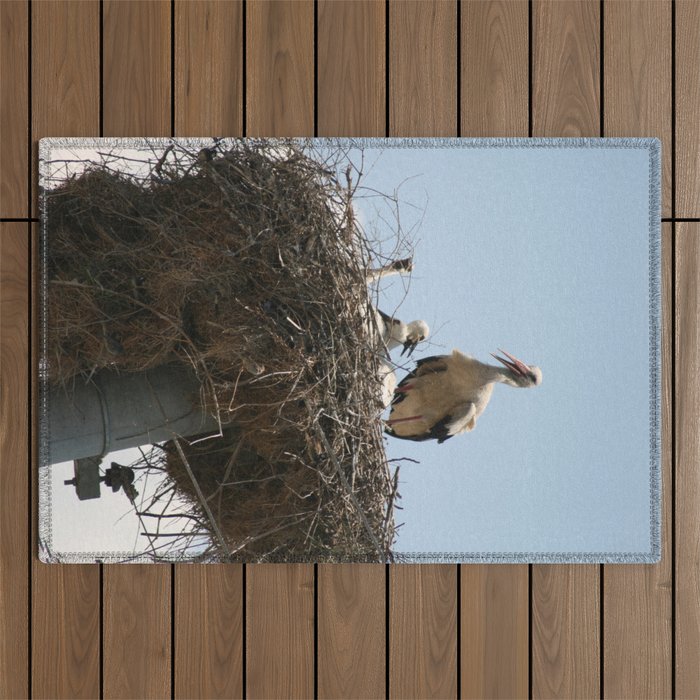 She Stork With Fledglings Photograph Outdoor Rug