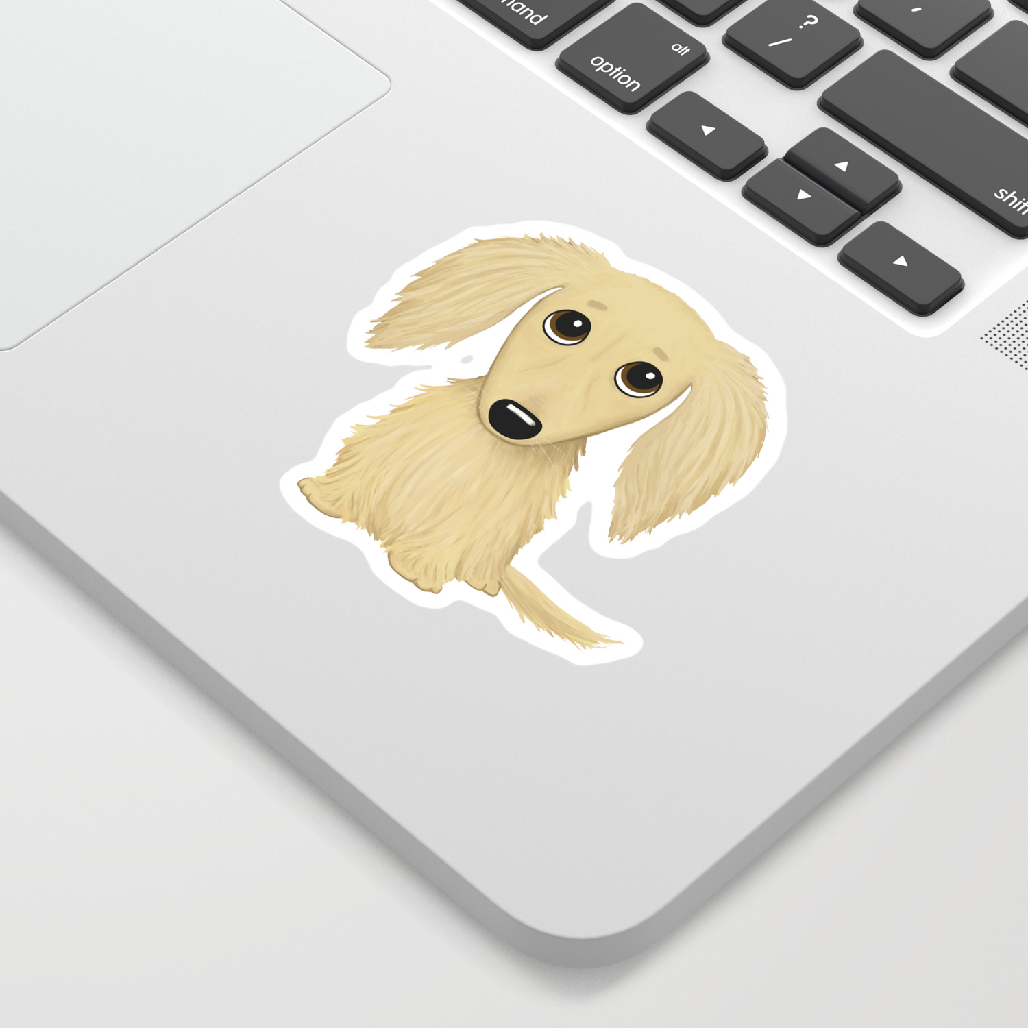 Longhaired Cream Dachshund Sticker By Mylifeisacartoon Society6