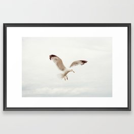 flight Framed Art Print