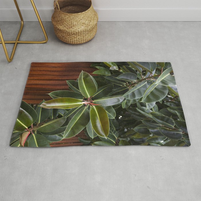 Rubber Tree Rug