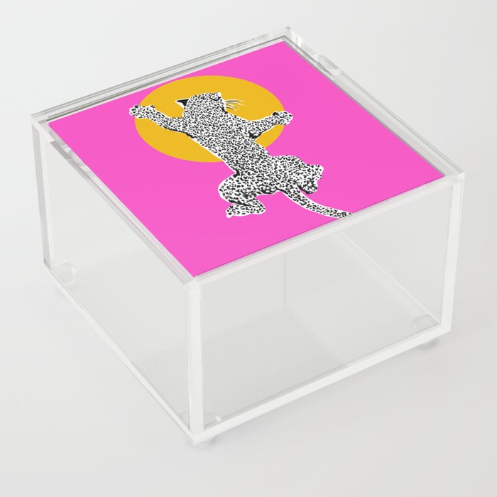 Big Cat Plays Ball with the Sun | Pink Acrylic Box