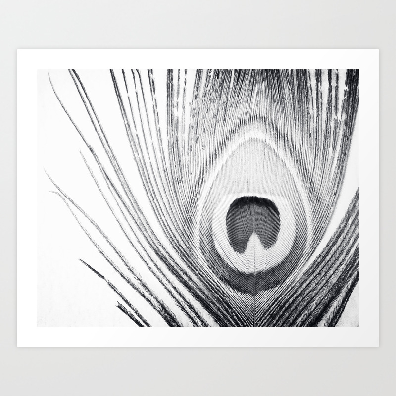 Black And White Peacock Feather Photography Grey Nature Neutral Gray Feathers Art Print By Carolyncochrane Society6 Black And White Peacock Feather Photography Grey Nature Neutral Gray Feathers Art Print By Carolyncochrane Society6