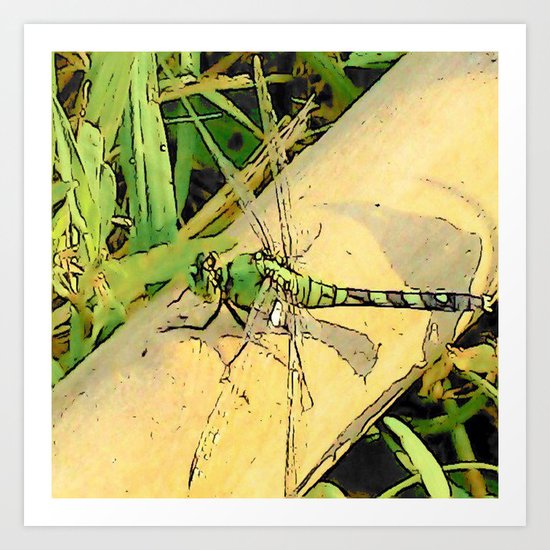 Dragonfly Delight Art Print