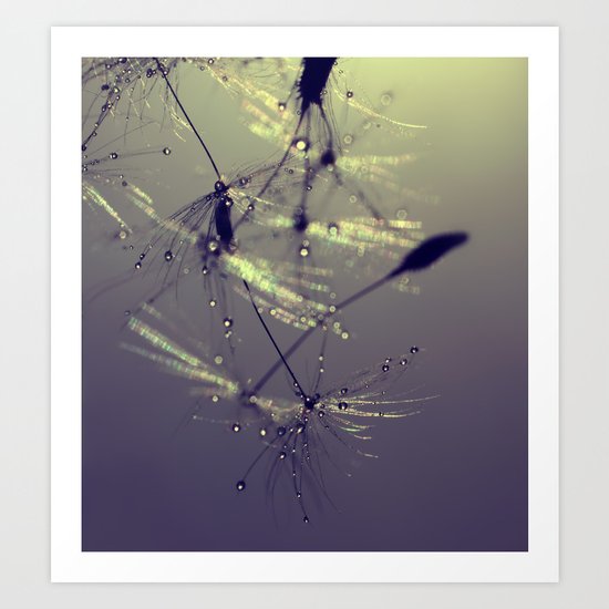 dandelion Art Print