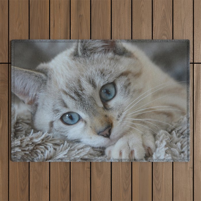 Cute Kitten Blue Eyes Outdoor Rug