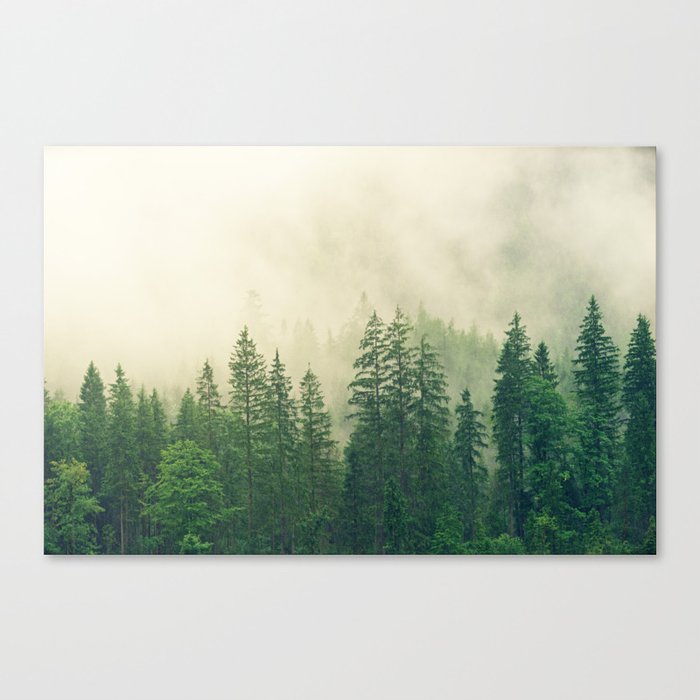 Majestic Forest Canvas Print