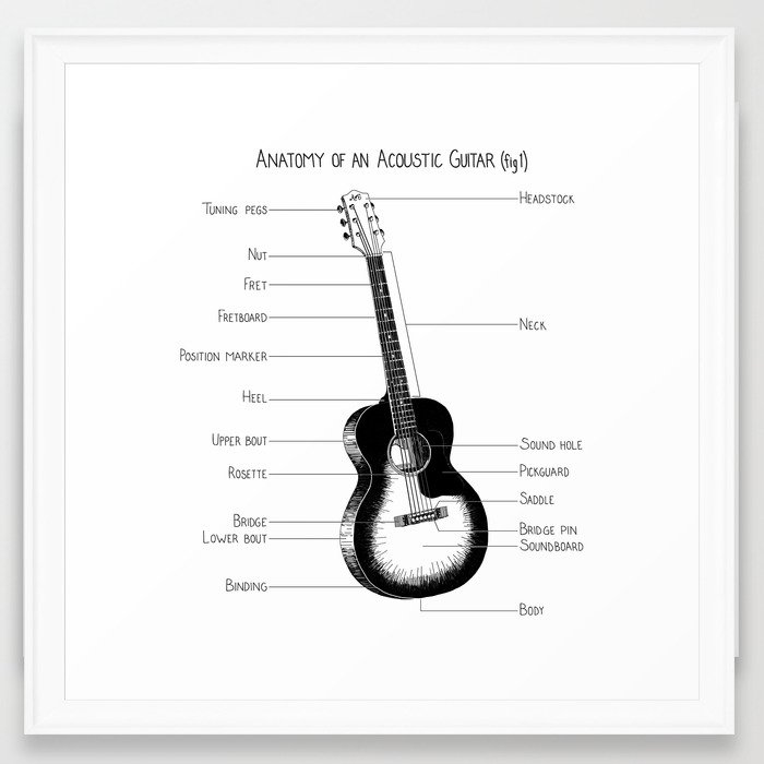Anatomy of an Acoutic Guitar (fig 1) Framed Art Print Framed Art Print