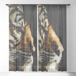 Close-up of Sumatran tiger on a black background Sheer Curtain