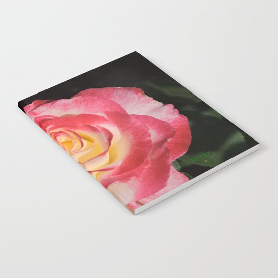 Multi-Hued Rose Notebook
