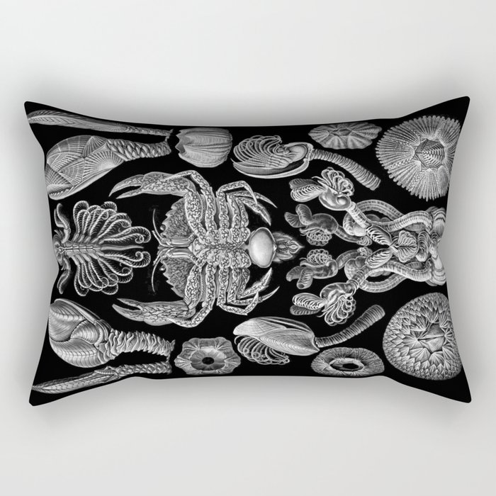 Ernst Haeckel Cirripedia Barnacles Crabs Rectangular Pillow