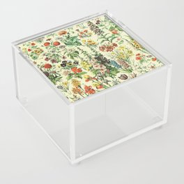 Fleurs - Millot Acrylic Box