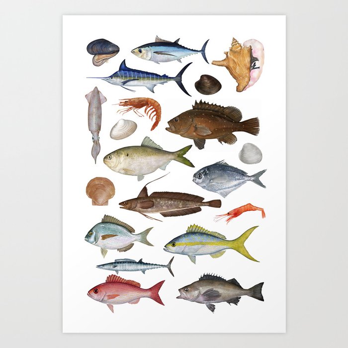 Fish Poster 01 Art Print by Jack Hornady Illustrations
