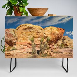 Colorful Rock Formation & Desert Flora - Gold Butte National Monument, Nevada Credenza