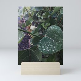 Water Droplets on a Leaf Mini Art Print