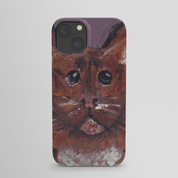 Melancholy Cat iPhone Case