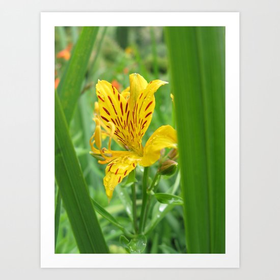 Yellow Flower Art Print