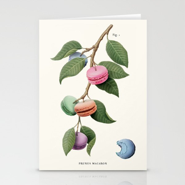 Macaron Plant Stationery Cards