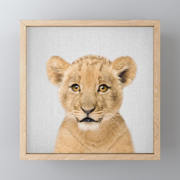 Baby Lion - Colorful Framed Mini Art Print