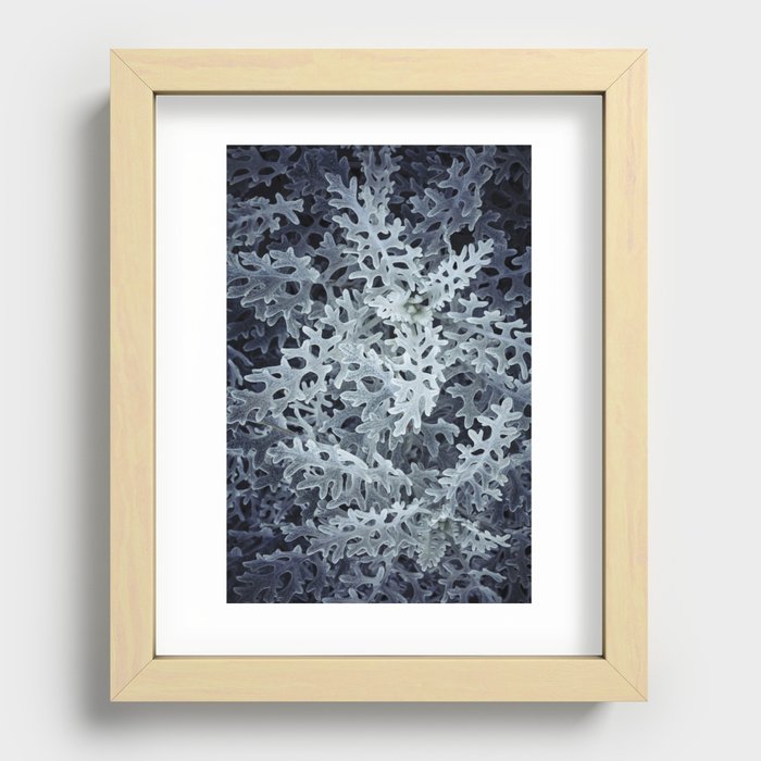 texture of plants Recessed Framed Print