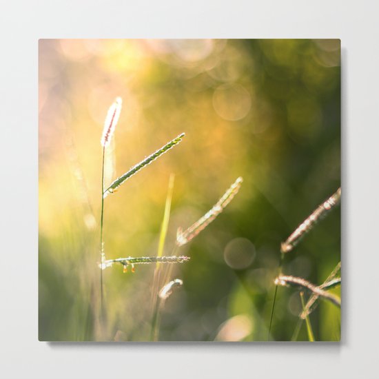 Fragile Metal Print