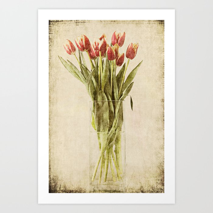 Tulips Vintage Plate Art Print