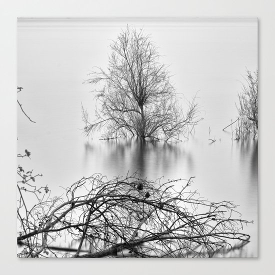 "Peace Tree". Sunrise at the lake Canvas Print