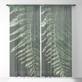 Brazil Photography - Beautiful Fern In The Dark And Dense Jungle Sheer Curtain