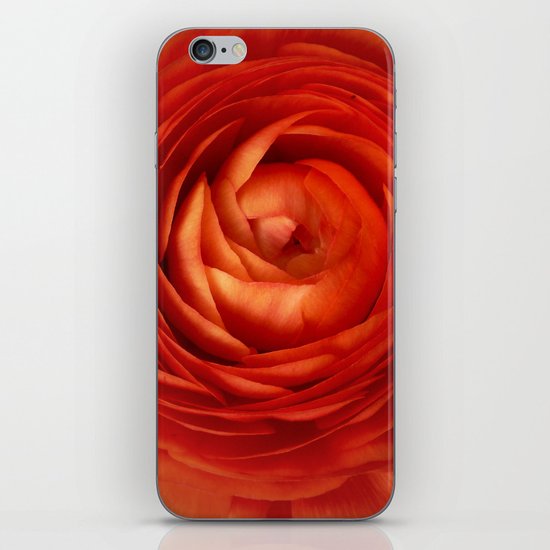 Orange iPhone & iPod Skin