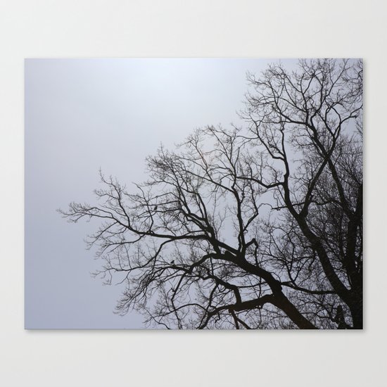 two birds sitting in the tree Canvas Print
