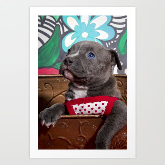 society6